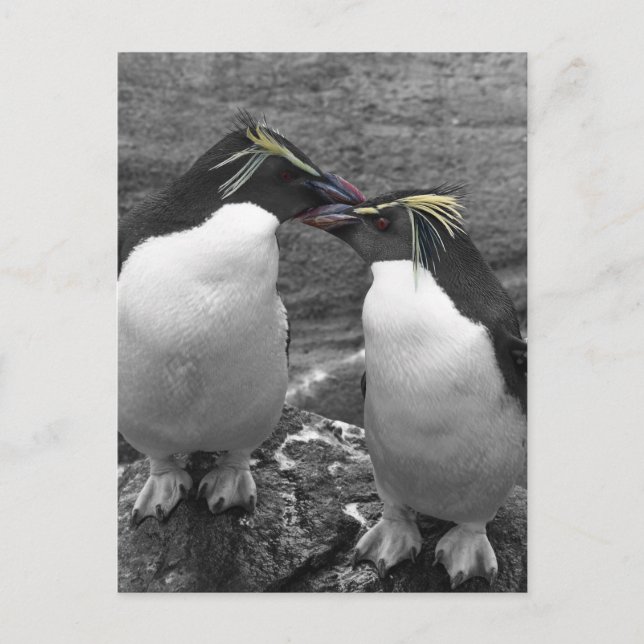 Pinguin-Farbsplash Postkarte (Vorderseite)