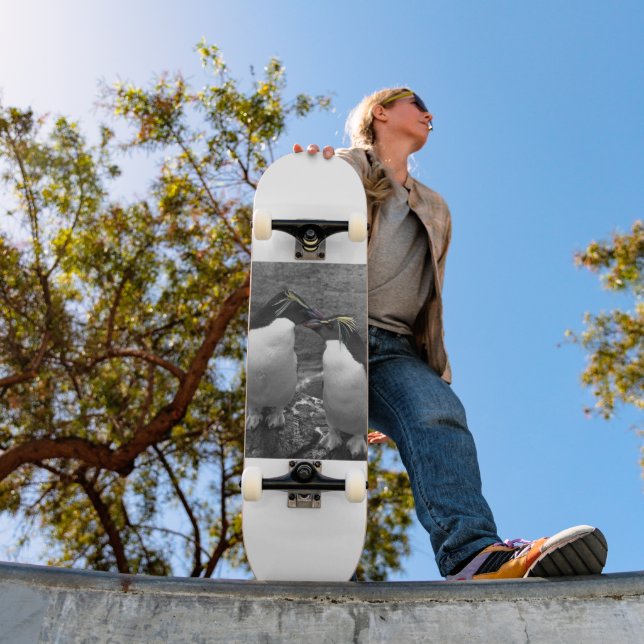 Pinguin-Farbsplash Skateboard (Außenbereich 1)