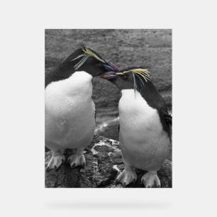 Pinguin-Farbspritzer Acrylschild