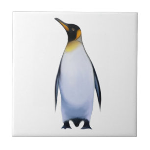 Pinguin Fliese