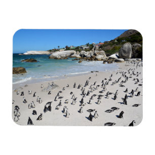 Pinguin-Flussstein-Strand Südafrika Magnet