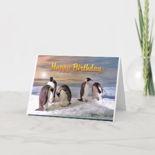 Pinguin Foto Happy Birthday Card Karte