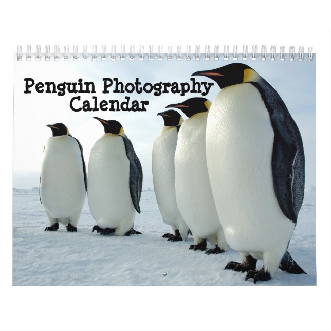 Pinguin-Fotografie-Kalender Kalender (Titelbild)
