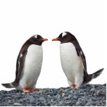 Pinguin Freistehende Fotoskulptur<br><div class="desc">Niedliches Pinguinpaar - Fotoskulptur aus Acryl.</div>