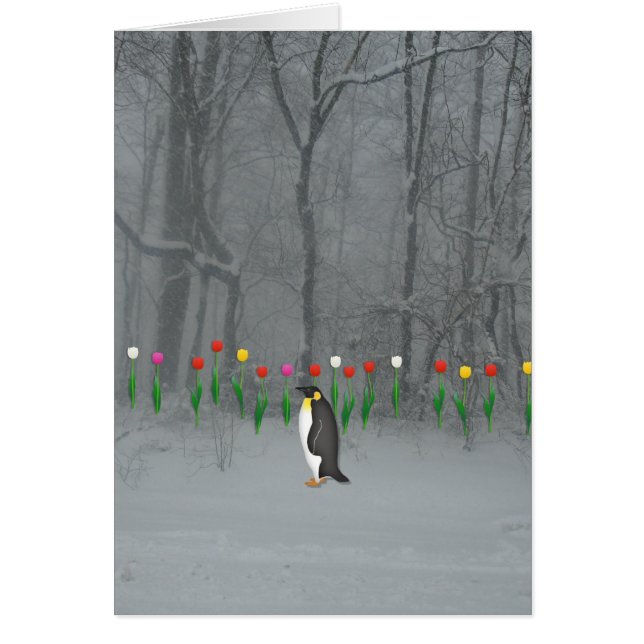Pinguin-Frühlings-Weg (Vorne)