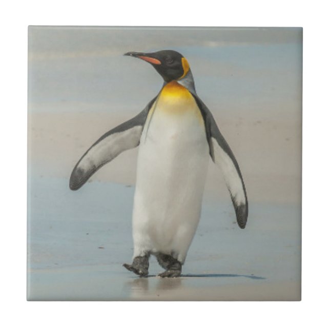 Pinguin geht am Strand Fliese (Vorderseite)