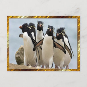 Pinguin Geht Postkarte
