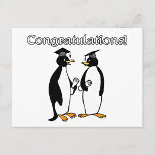 Pinguin Graduates Postkarte