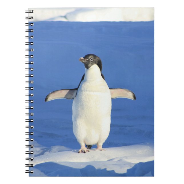 Pinguin im Schnee-Notebook Notizblock (Vorderseite)