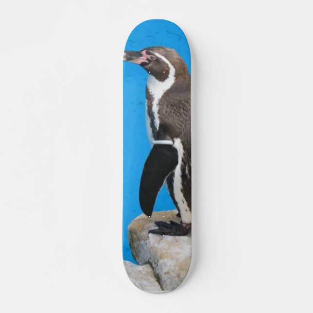 Pinguin in Harewood Park Skateboard (Vorne)