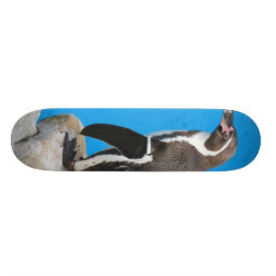 Pinguin in Harewood Park Skateboard