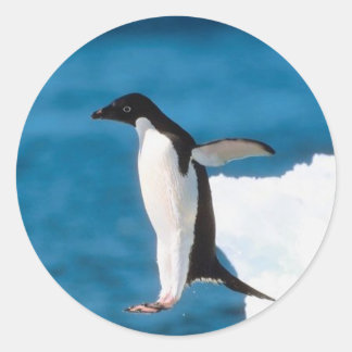 Pinguin Jumping Sticker