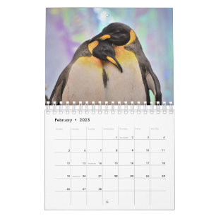 Pinguin Kalender