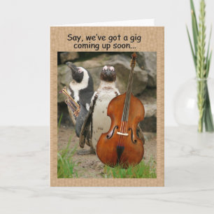 Pinguin-Konzert laden ein Einladung