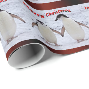 Pinguin-Kumpel-Packpapier - Weihnachten Geschenkpapier