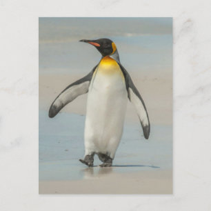 Pinguin läuft am Strand entlang Postkarte