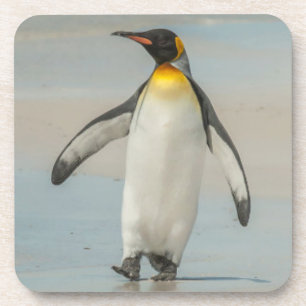 Pinguin läuft am Strand entlang Untersetzer