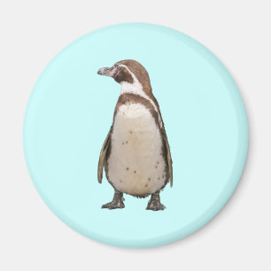 Pinguin Magnet