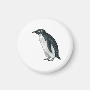 Pinguin Magnet