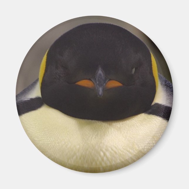 Pinguin Magnet (Vorne)