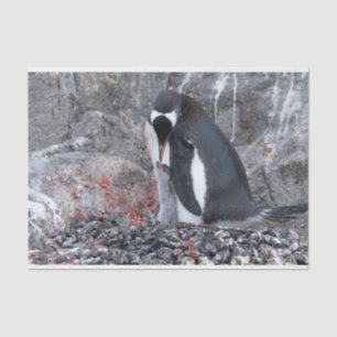 Pinguin mit Küken Seidenpapier