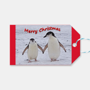 Pinguin Pals Gift Tags Geschenkanhänger
