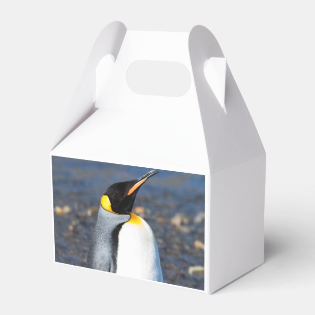 Pinguin-Portrait Geschenkschachtel (Rückseite)