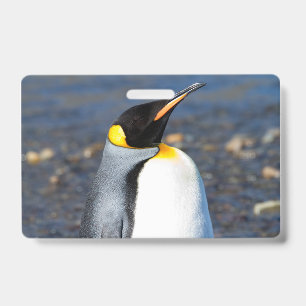 Pinguin-Porträt Ausweis