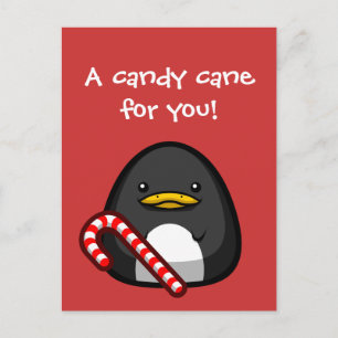 Pinguin Postcard Postkarte