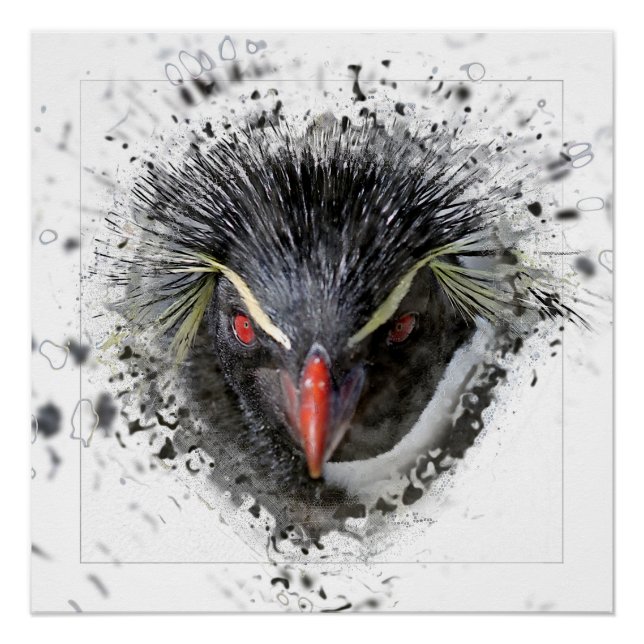 Pinguin Poster (Vorderseite)