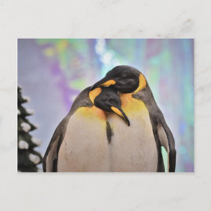 Pinguin Postkarte