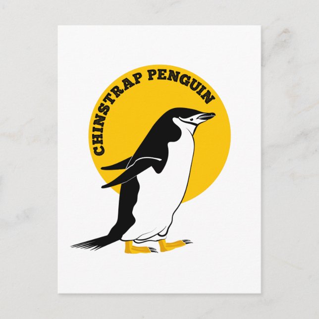 Pinguin Postkarte (Vorderseite)