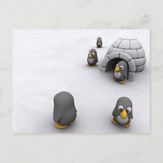 Pinguin-Postkarte Postkarte (Vorderseite)