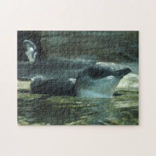 Pinguin-Puzzlespiel Puzzle