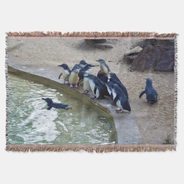 Pinguin Relay: Pinguin Flock Swim Team, Decke (Vorderseite)