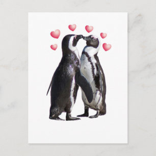 Pinguin Romance Postkarte