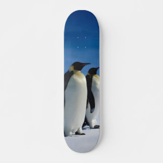 Pinguin Skateboard