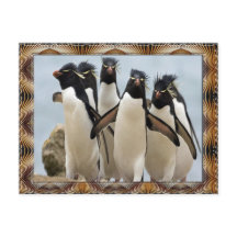 Pinguin Spaziergang