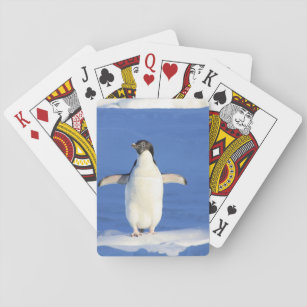 Pinguin Spielkarten