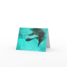 Pinguin tauchen in blauem Wasser auf einem leeren