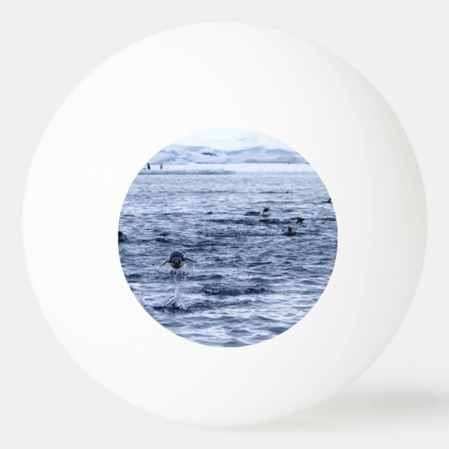 Pinguin Tischtennisball (Rückseite)