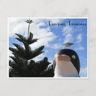 Pinguin und Möwe Postkarte