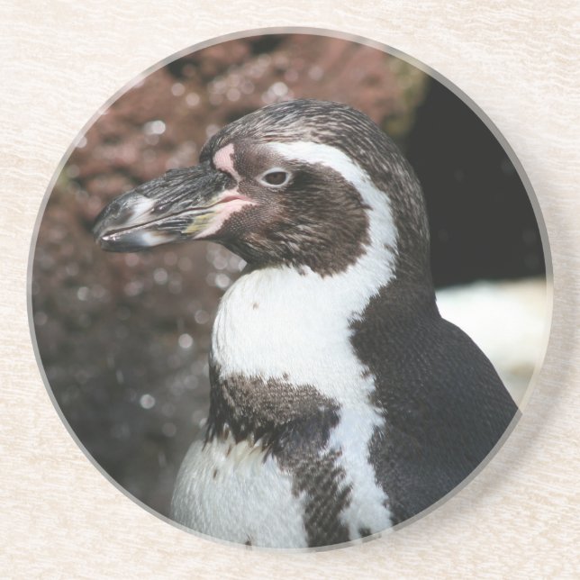 Pinguin-Untersetzer Getränkeuntersetzer (Vorne)