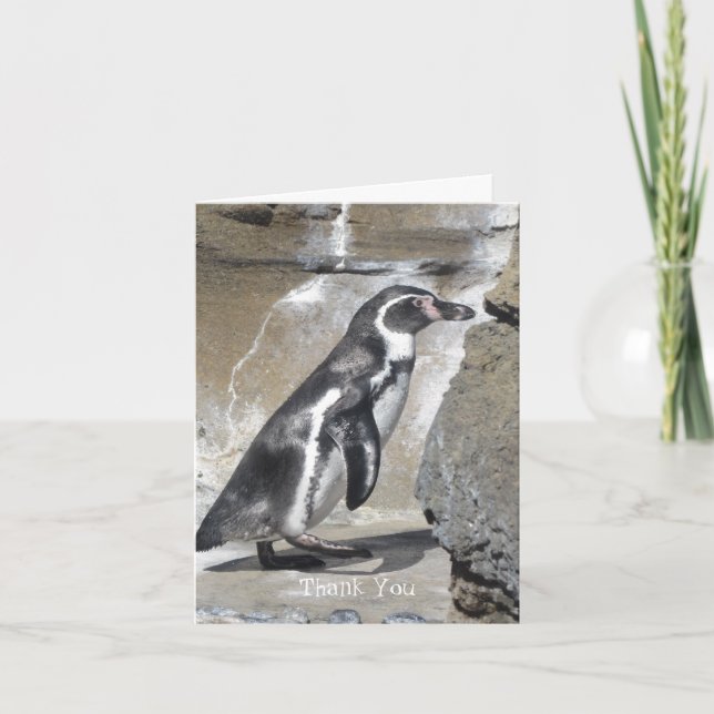 Pinguin Vielen Dank Dankeskarte (Vorderseite)