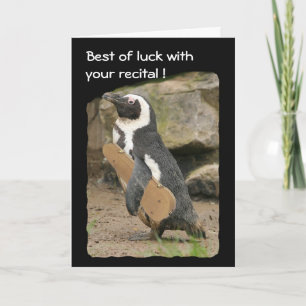 Pinguin Violin Erwägungsgrund (Viel Glück) Karte