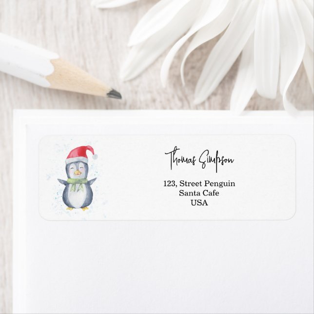 Pinguin Weihnachtsmann (Insitu)