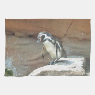 Pinguin, Wildtiere, Tiere, Wildvögel, Zoo, Sommer Handtuch