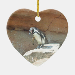 Pinguin, Wildtiere, Tiere, Wildvögel, Zoo, Sommer Keramik Ornament