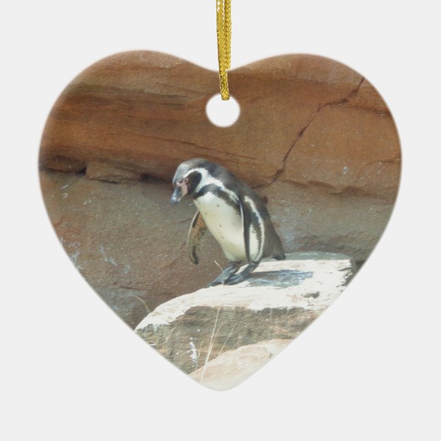 Pinguin, Wildtiere, Tiere, Wildvögel, Zoo, Sommer Keramik Ornament (Vorne)