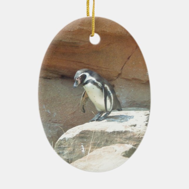 Pinguin, Wildtiere, Tiere, Wildvögel, Zoo, Sommer Keramikornament (Hinten)